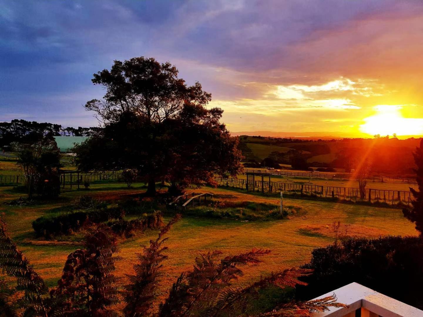 Holiday House In Totara Park Auckland Esterno foto